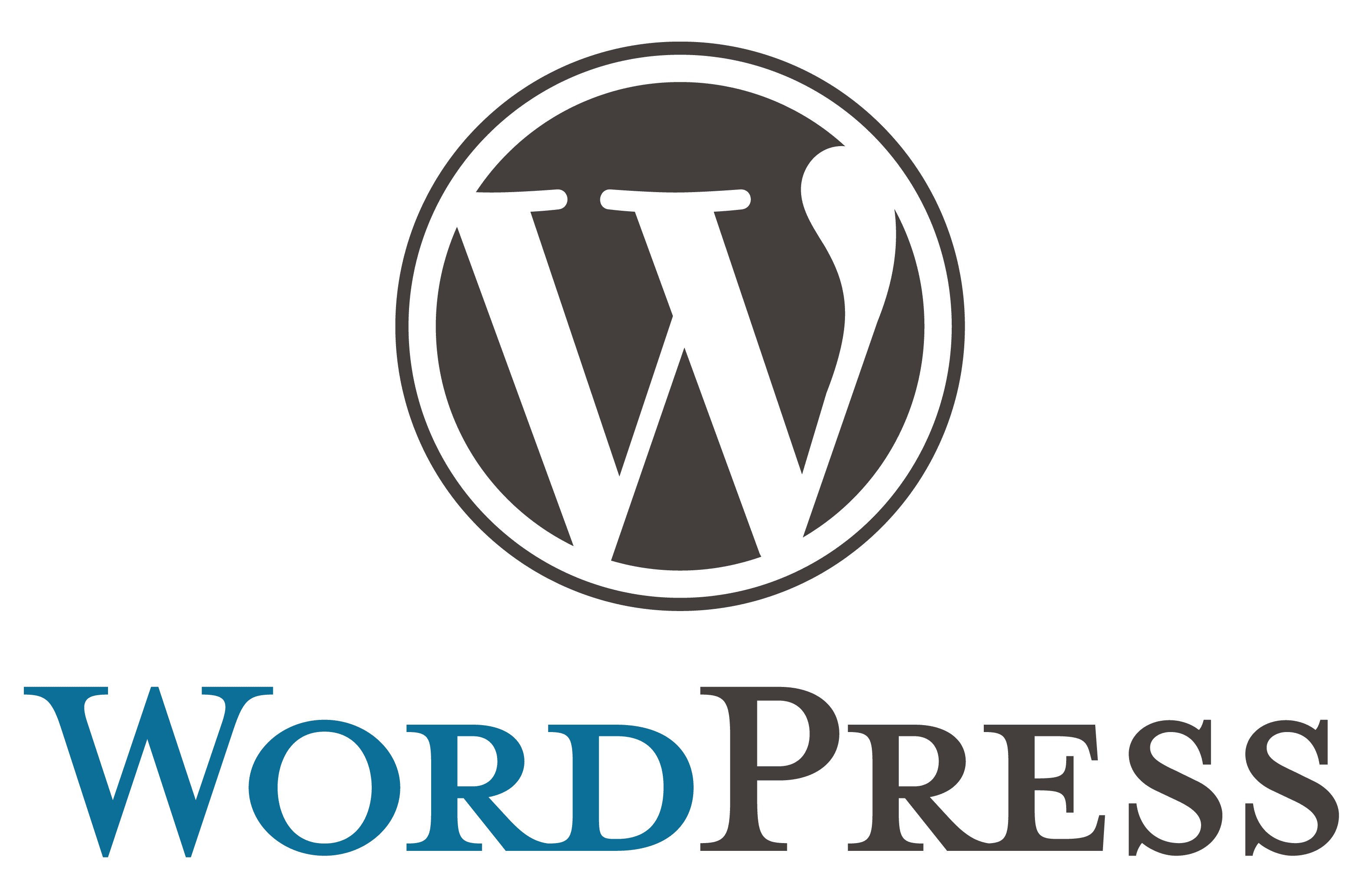 Tips & Techniques to Improve WordPress Speed